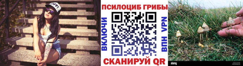 Купить где  Реутов  Псилоцибиновые грибы Magic Shrooms